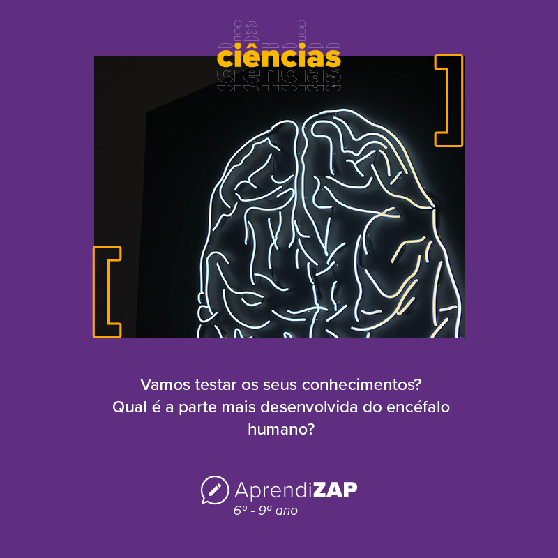 Mídia do exercício 1