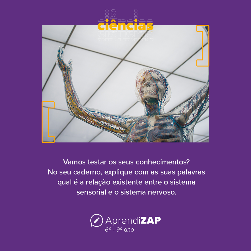 Mídia do exercício 1