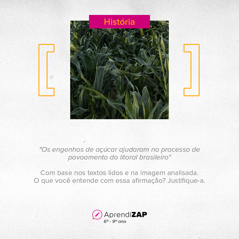 Mídia do exercício 1