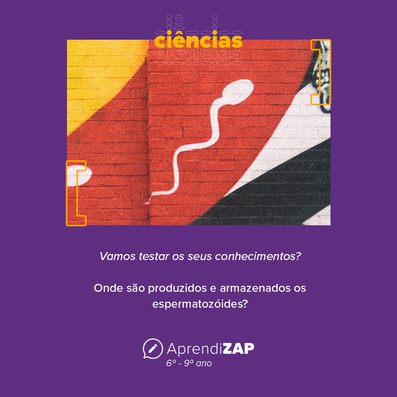 Mídia do exercício 1