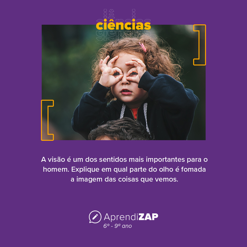 Mídia do exercício 1