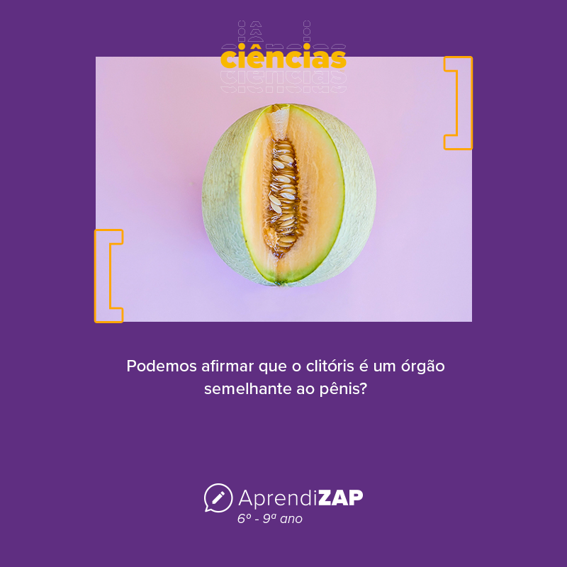 Mídia do exercício 1