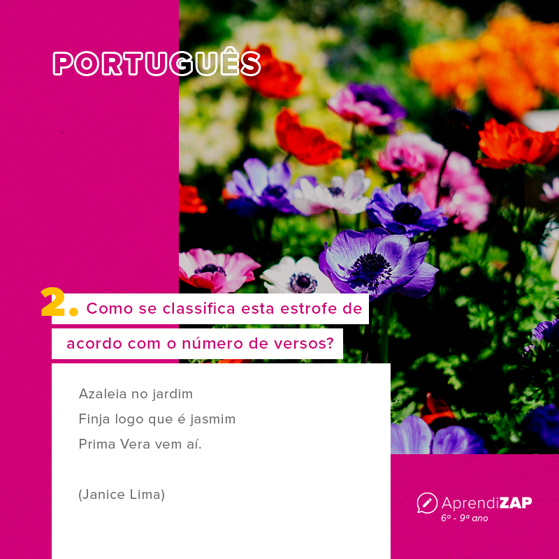 Mídia do exercício 2