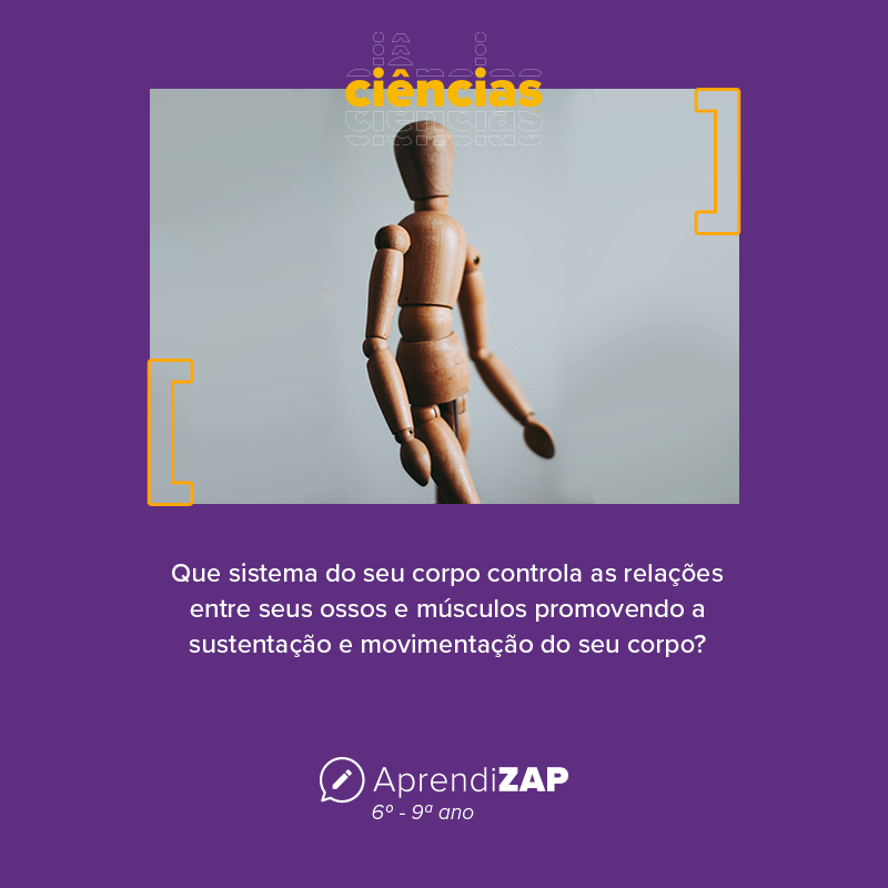 Mídia do exercício 1