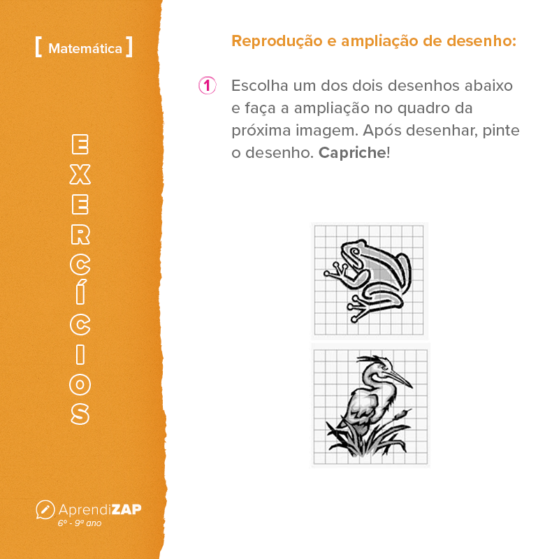 Mídia do exercício 1