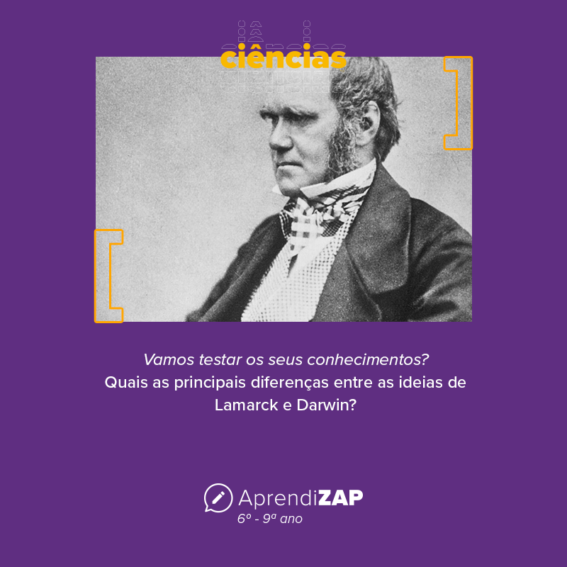 Mídia do exercício 1