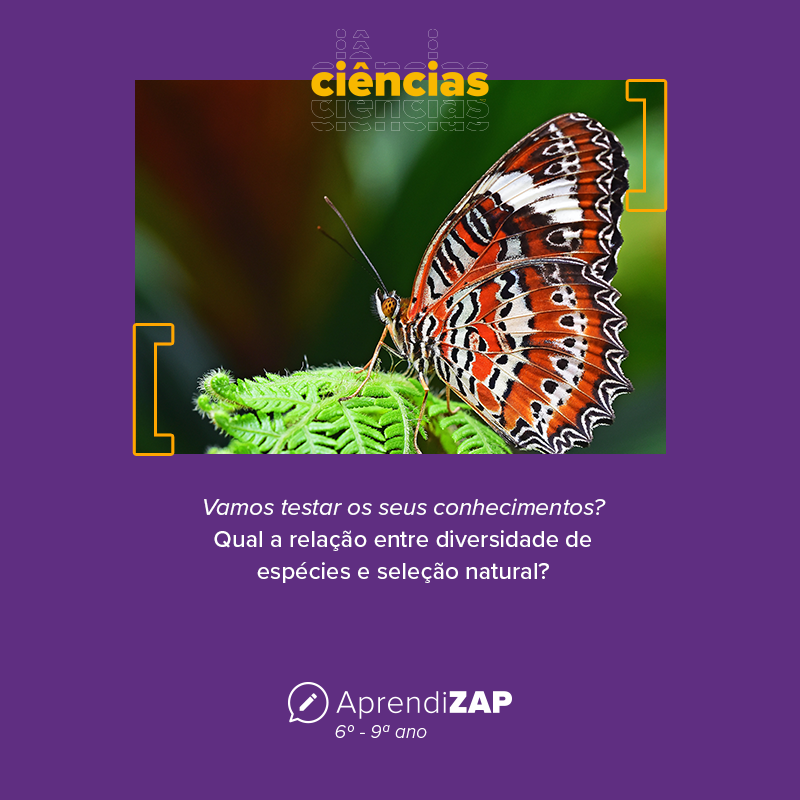 Mídia do exercício 1