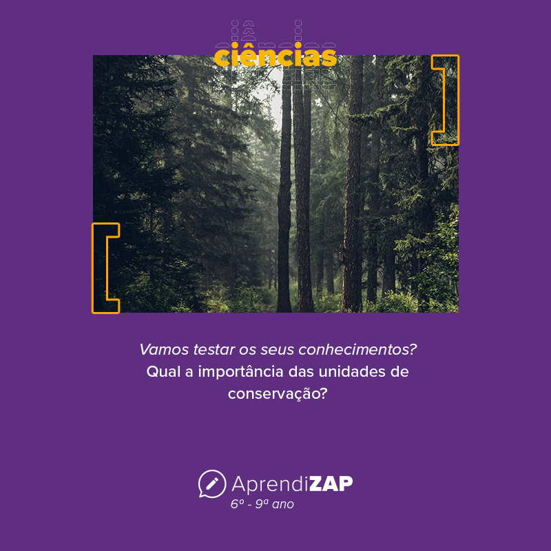 Mídia do exercício 1