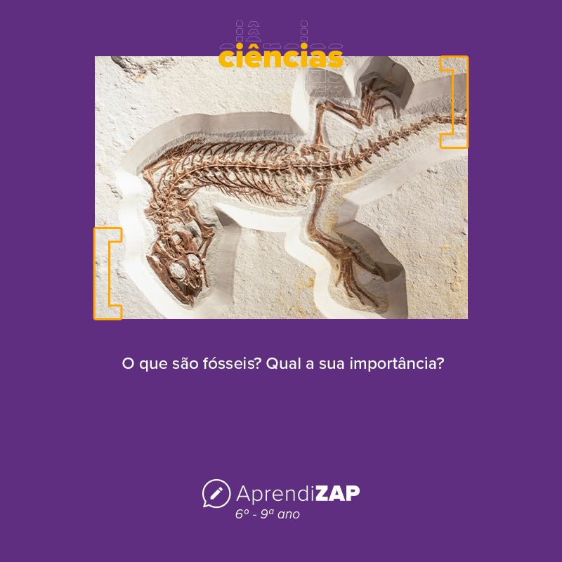 Mídia do exercício 1