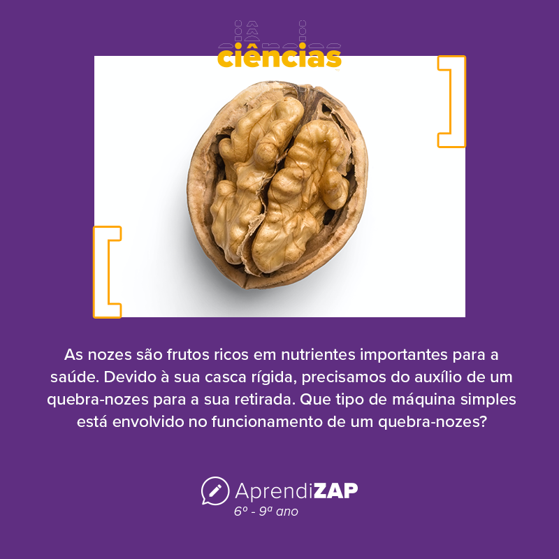 Mídia do exercício 1