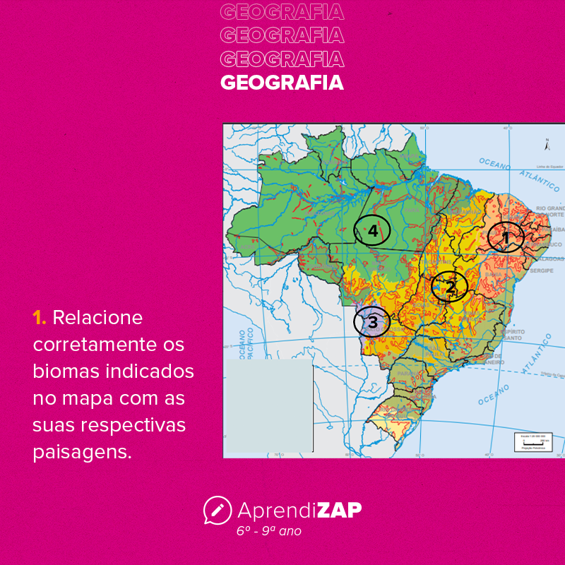 Mídia do exercício 1