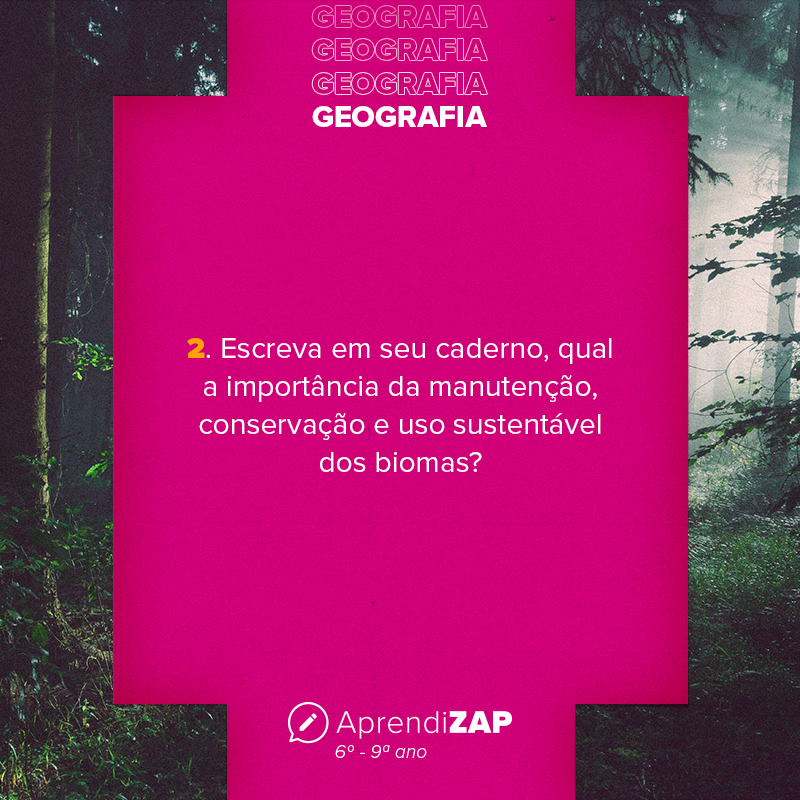 Mídia do exercício 4