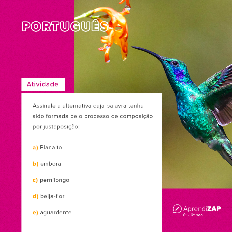 Mídia do exercício 1