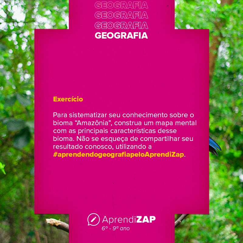 Mídia do exercício 1