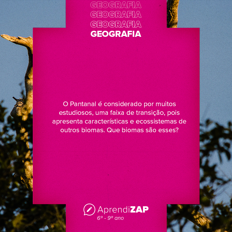 Mídia do exercício 1