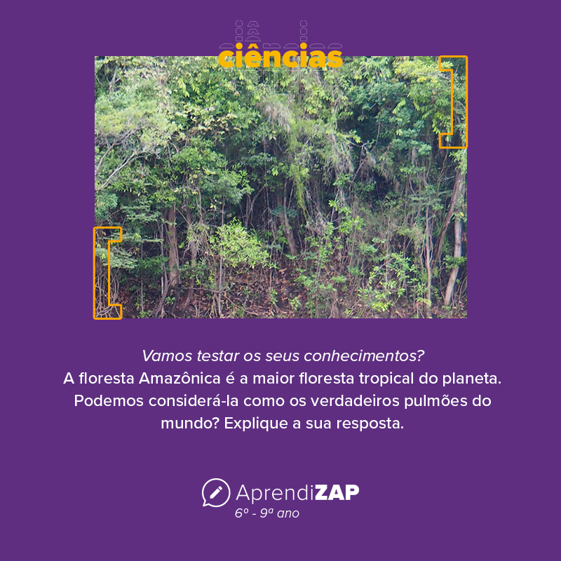 Mídia do exercício 1