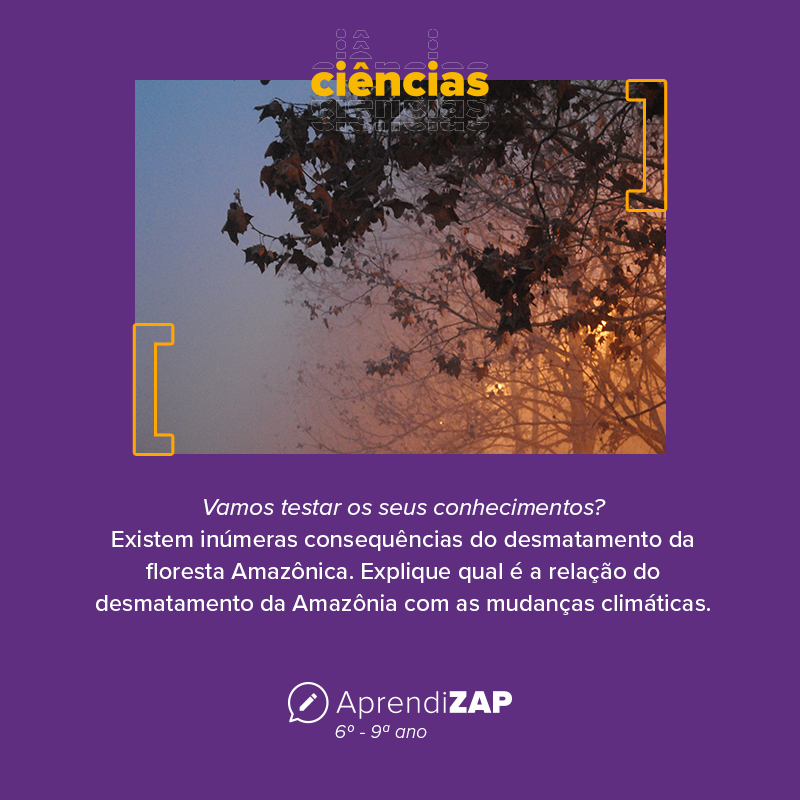 Mídia do exercício 1