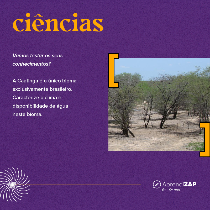 Mídia do exercício 1