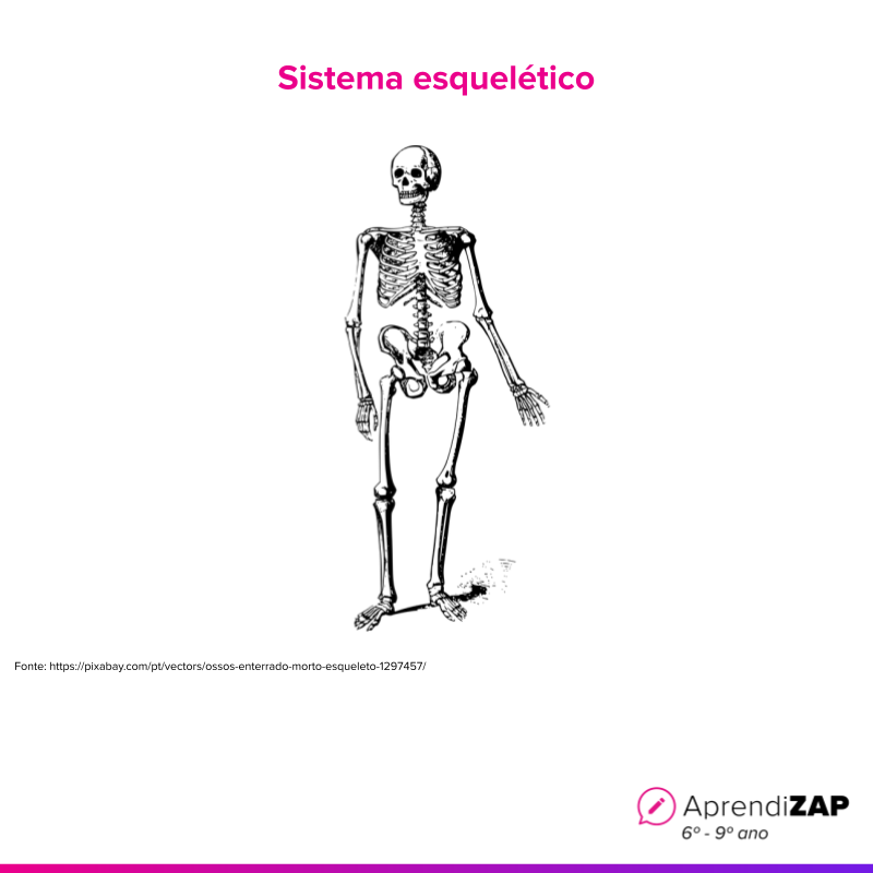 Imagem do exercício 1