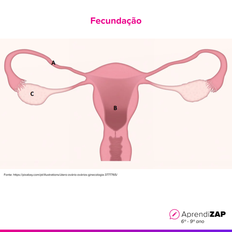 Imagem do exercício 1