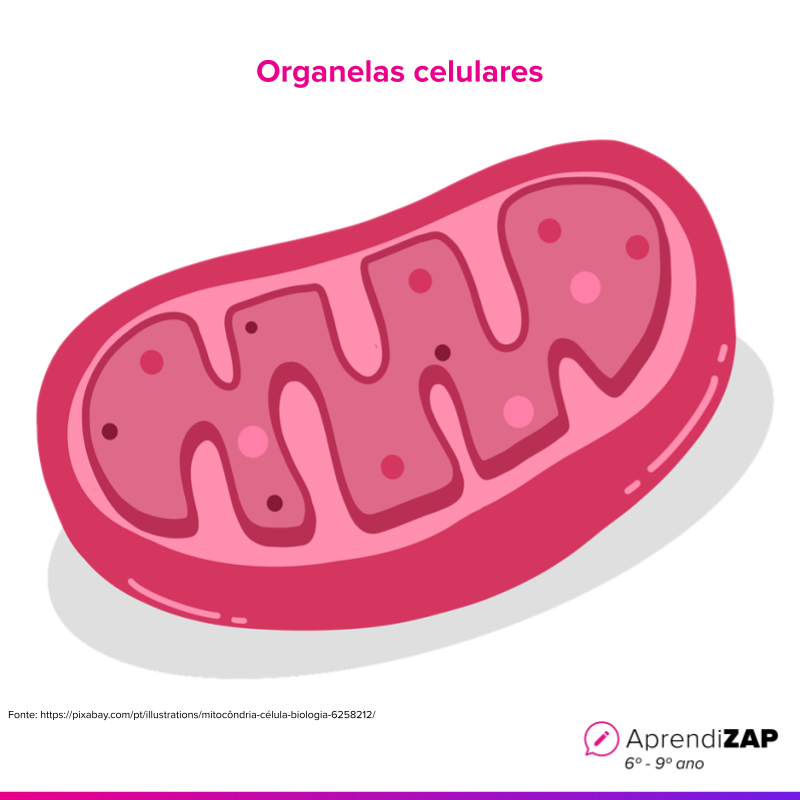 Imagem do exercício 1