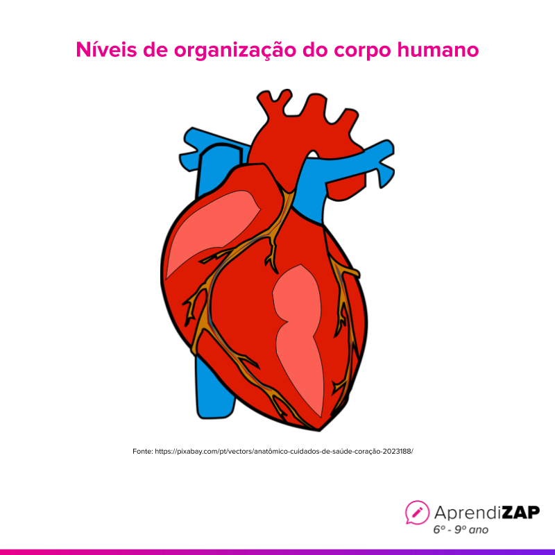 Imagem do exercício 1