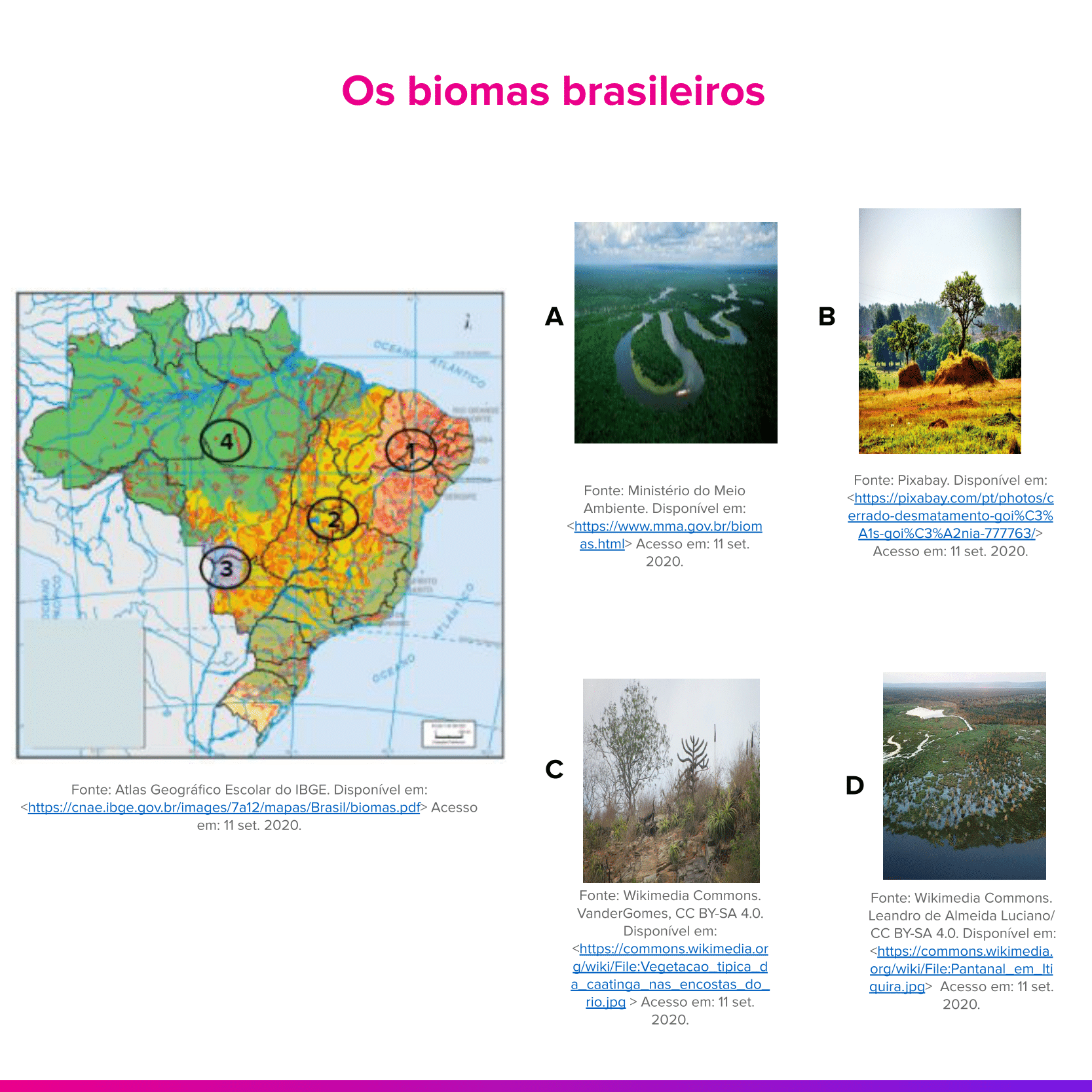 Imagem do exercício 1