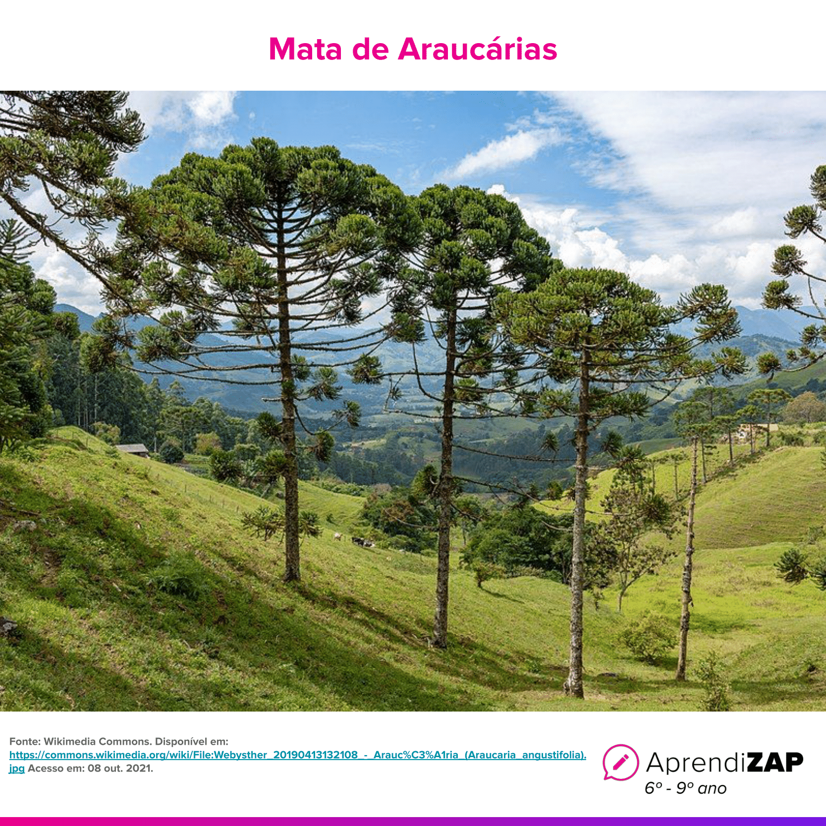 Imagem do exercício 1