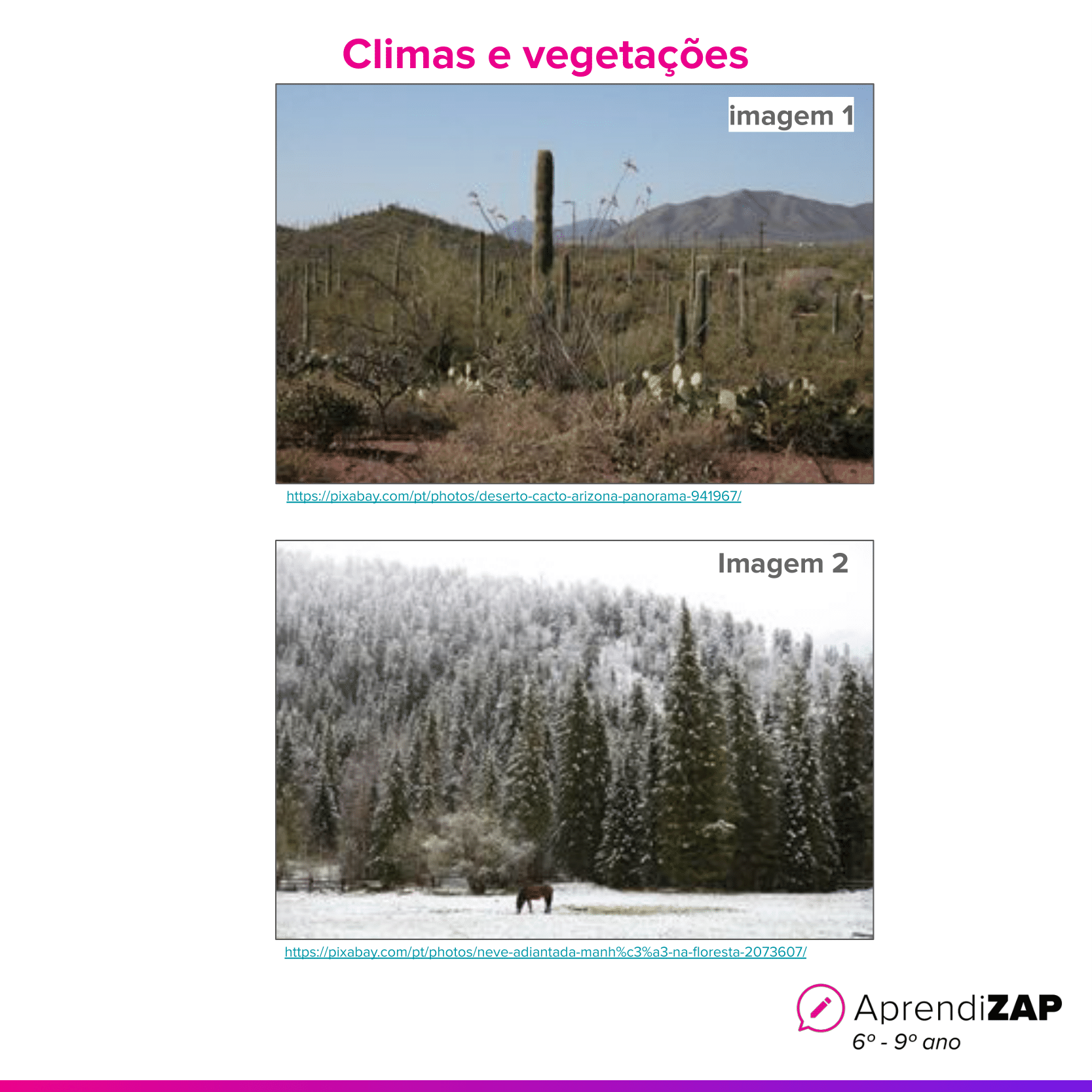 Imagem do exercício 1