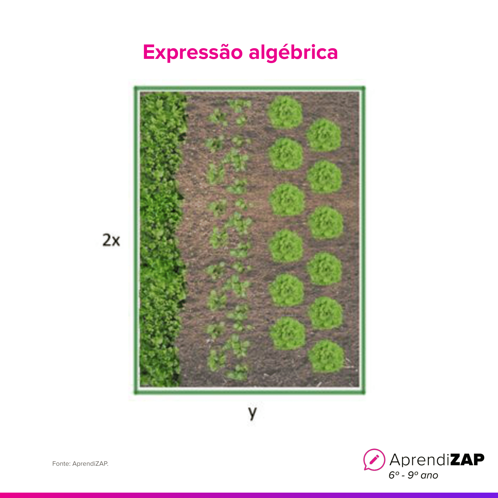 Imagem do exercício 1